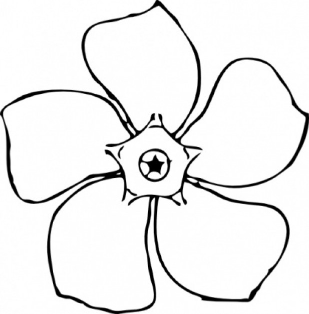 617x626 Jasmine Clipart Black And White