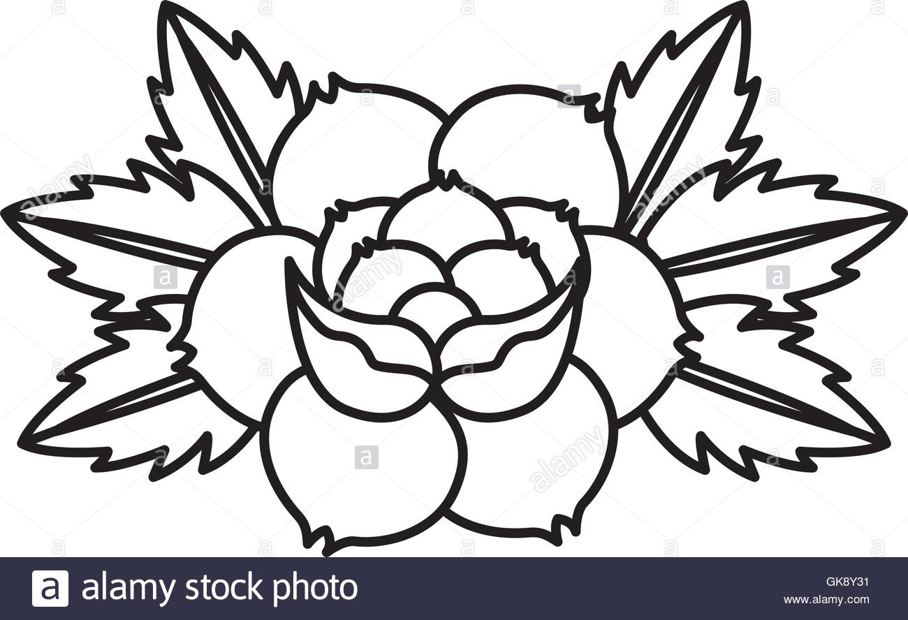 1300x888 Flower Drawing Tattoo Style Isolated Icon Stock Vector Art