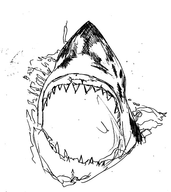 600x673 Jaws Coloring Pages
