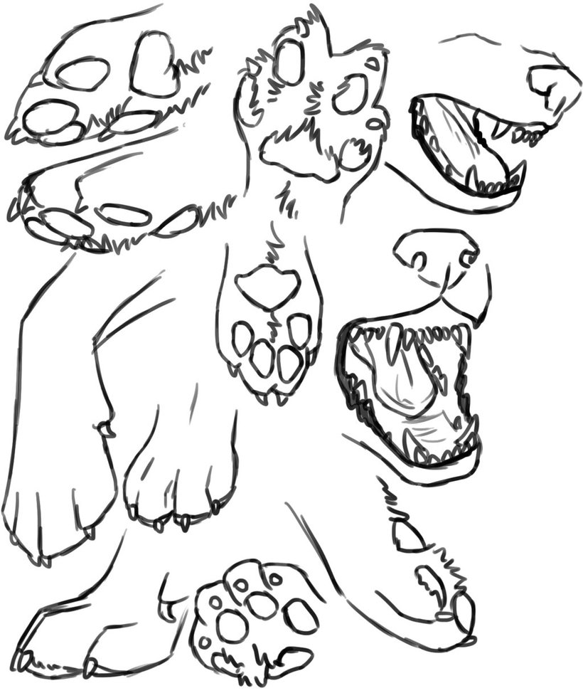 820x974 Jaws And Paws Study By Aliuh