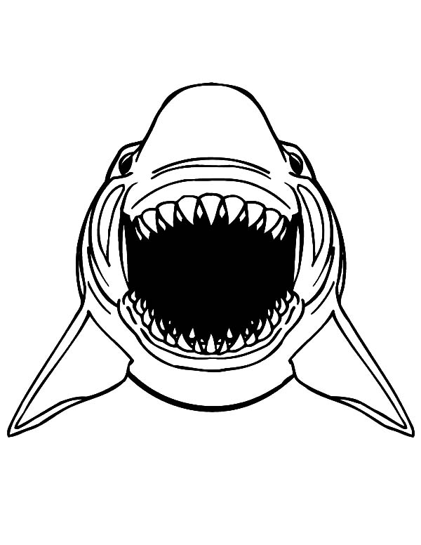 600x776 Great White Shark Jaws Coloring Pages Best Place To Color