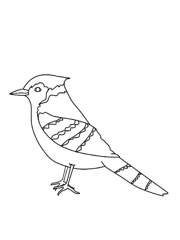 750x1000 Blue Jay Coloring Sheet Coloring Page For Kids