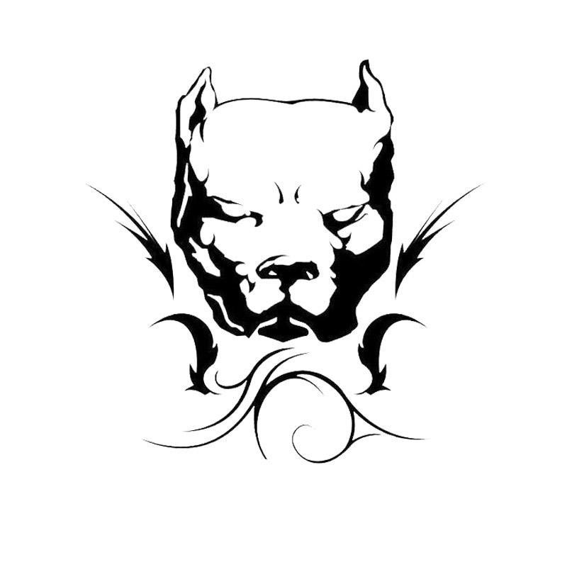 800x800 Pit Bull Car Vinyl Decal Products