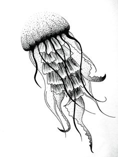 236x314 Jelly Fish Idea For A Full Back Piece Need. More. Tattoos