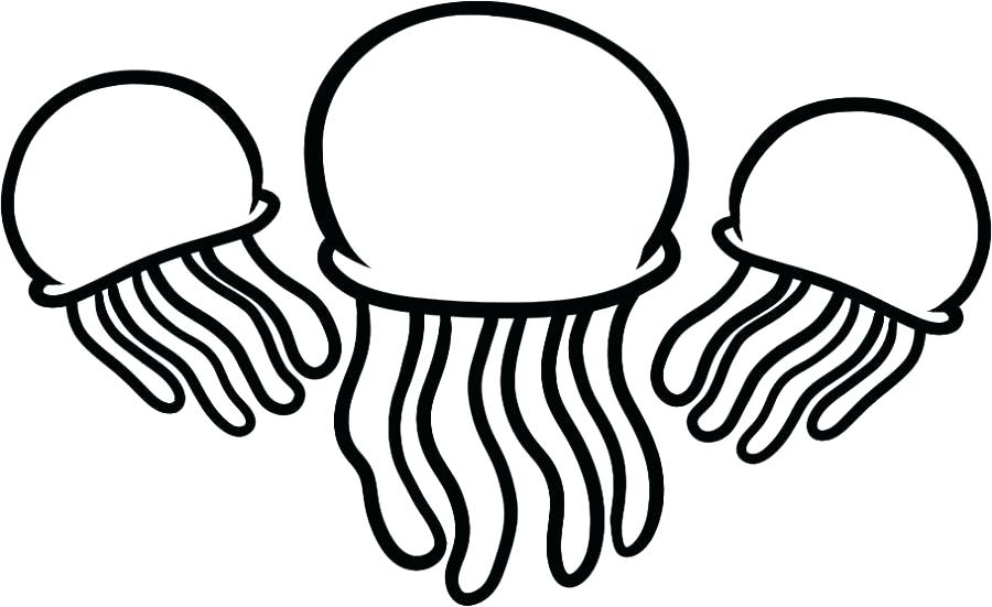 900x551 Jellyfish Coloring Pages Jelly Fish Coloring Page Letter J