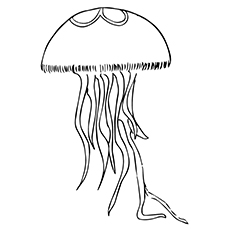 230x230 10 Lovely Jellyfish Coloring Pages For Your Toddler