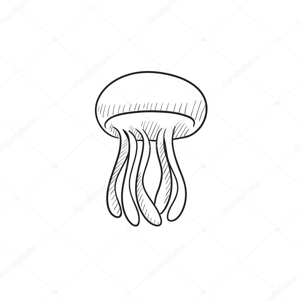 1024x1024 Jellyfish Sketch Icon. Stock Vector Rastudio