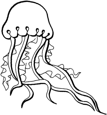 448x480 Jellyfish Coloring Page Free Printable Coloring Pages