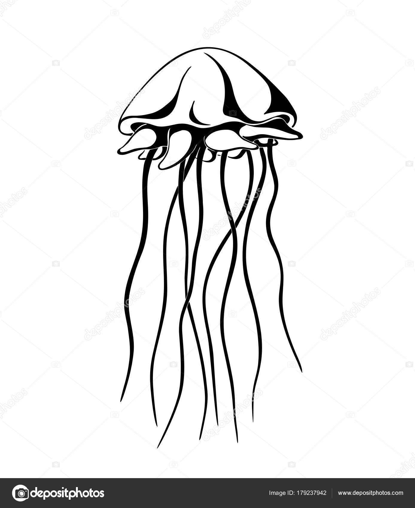 1387x1700 Jellyfish, Ink Hand Drawn Vector Illustration Stock Vector