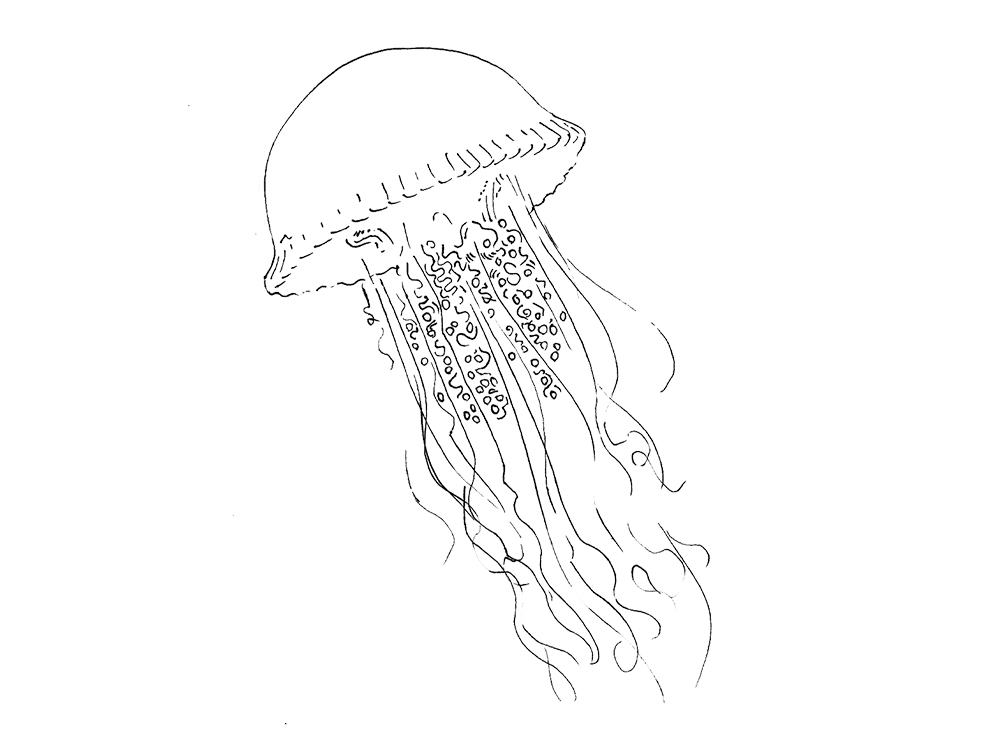 1000x744 Jellyfish Temporary Tattoo