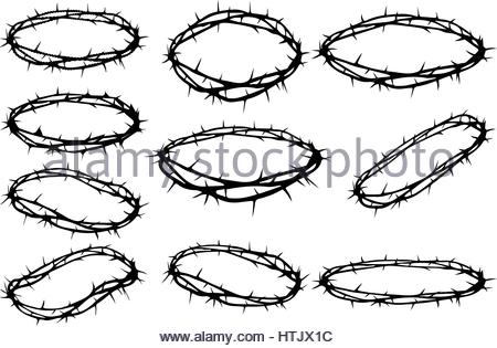 450x315 Crown Of Thorns, Jesus Christ'S