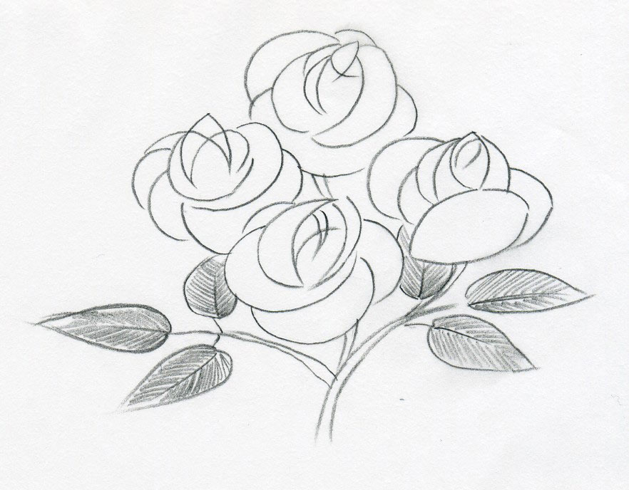 882x688 Easy Sketch Roses Drawings, Easy Roses Sketches Do You Love