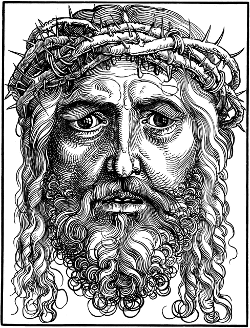 488x640 Large Head Of Christ Clipart Etc