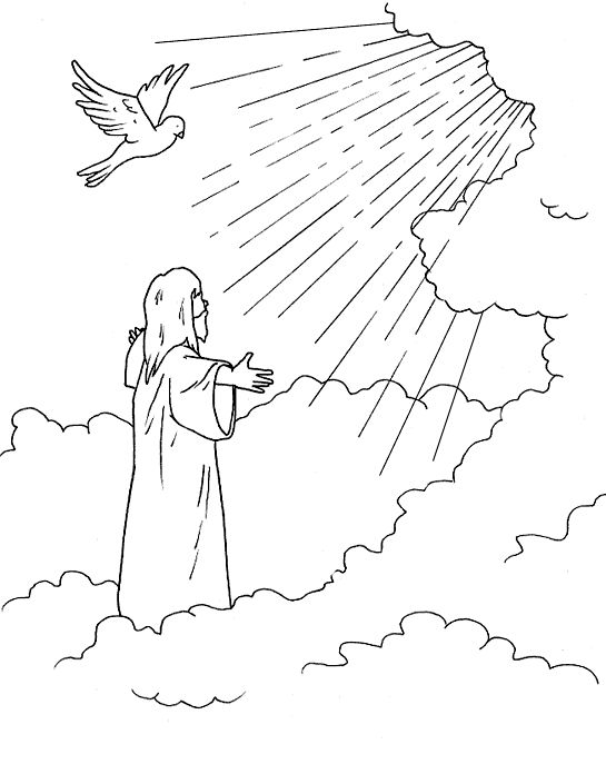 545x696 Drawn Heaven Bible