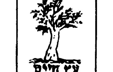 394x252 Five Reasons Archives