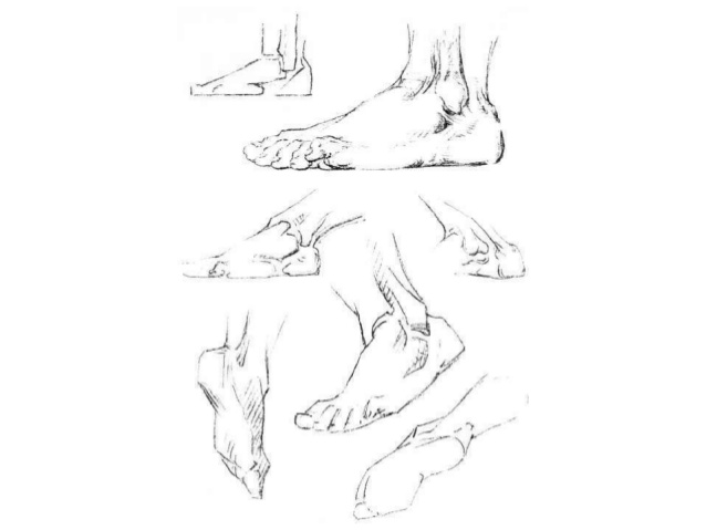 638x479 Head Hands Feet