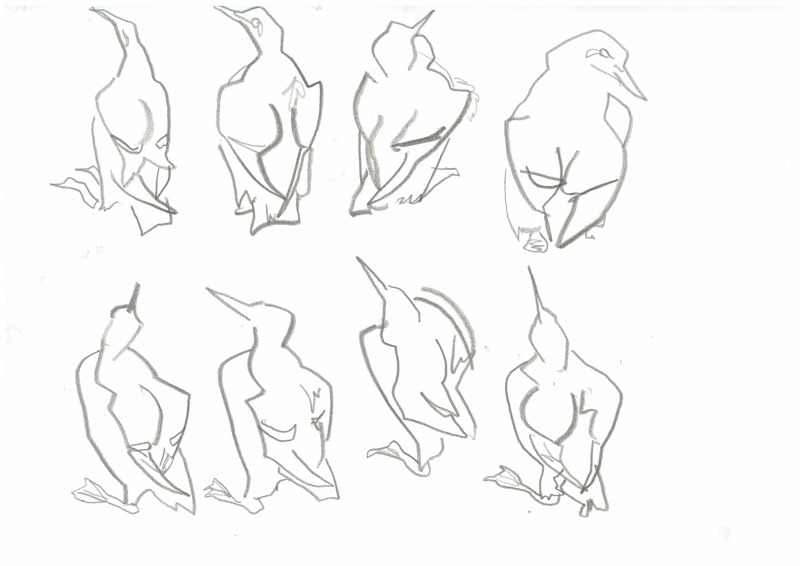 800x566 Learn To Draw Birds In 30 Seconds The John Busby Seabird Drawing