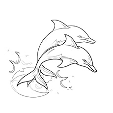 230x230 Top 20 Free Printable Dolphin Coloring Pages Online