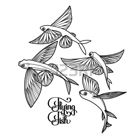 450x450 Flying Fish Stock Photos. Royalty Free Business Images