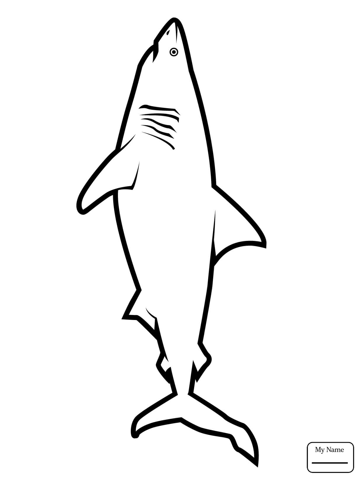 1224x1632 Coloring Pages For Kids Great White Shark Jumping Out Of The Water