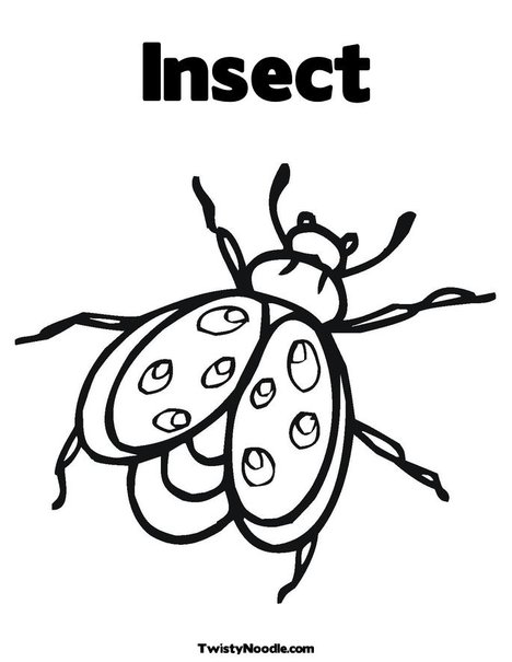 468x605 Insects Coloring Pages