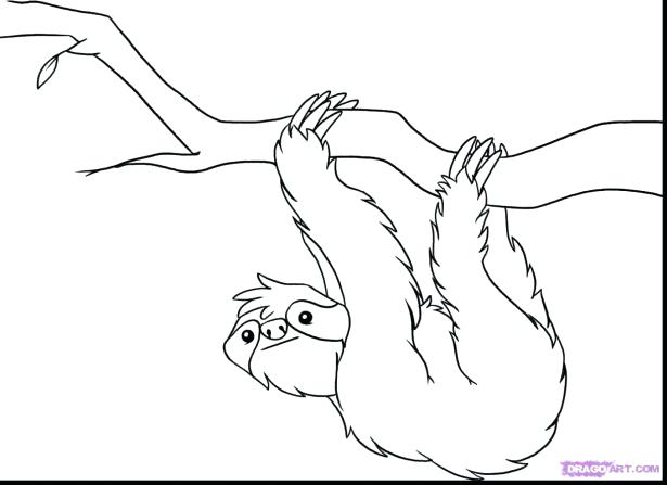 615x447 Jungle Animal Coloring Pages