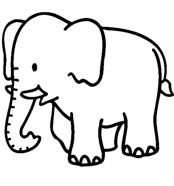 612x652 Jungle Animal Coloring Pages Pre K 3 Animal