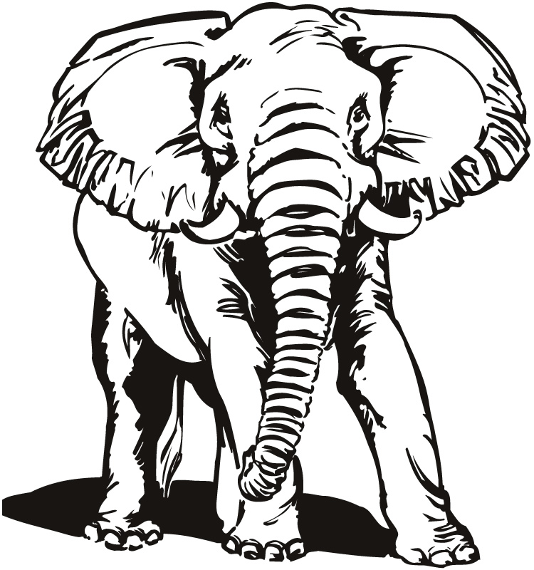 750x800 Simple Jungle Animal Drawings