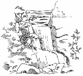 272x250 Drawing Nature And Landscapes How To Draw Nature Outdoors