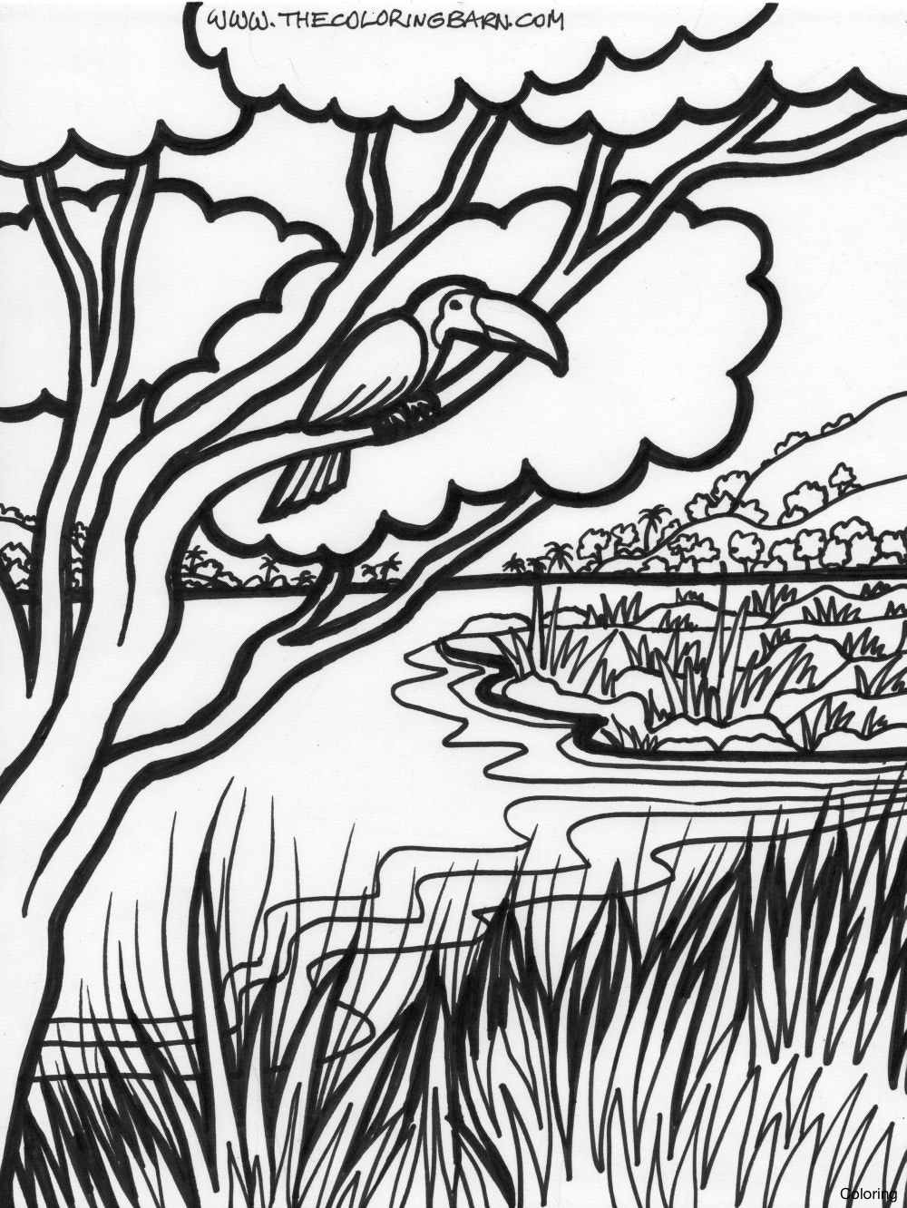 1000x1332 Rainforest Coloring Pages To Print How Draw A 15f Tree Step By