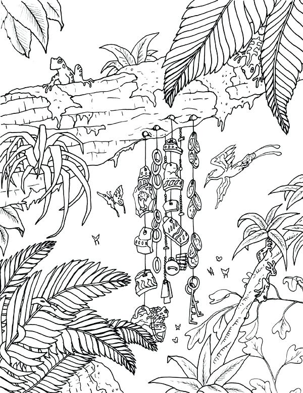 600x780 Astonishing Various Rainforest Colouring Print Coloring Pages