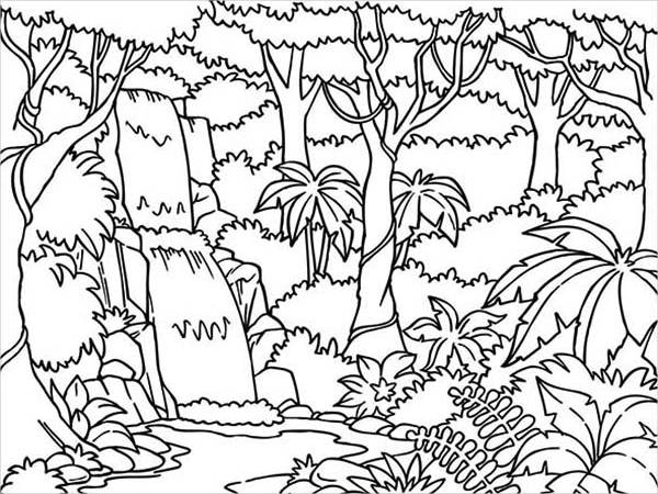 600x450 Jungle Coloring Pages 9 Jungle Coloring Pages Jpg Ai Illustrator