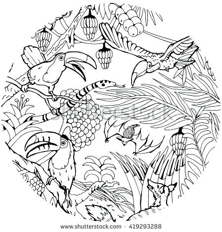 449x470 Jungle Coloring Page Wild Life In The Jungle Coloring Page Baby