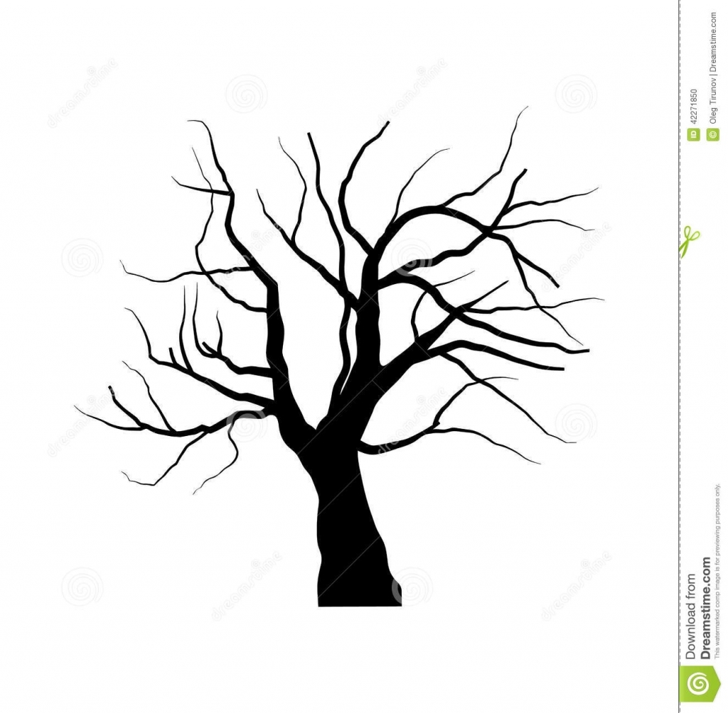 1024x1004 Drawings Of Trees With Leaves Picture Of A Tree Without Leaves