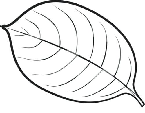 500x391 Good Jungle Leaves Coloring Pages Fee