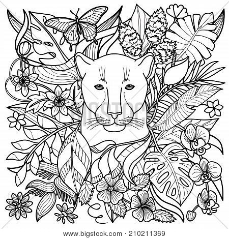 450x470 Jungle Pattern Panther, Flowers Vector Amp Photo Bigstock