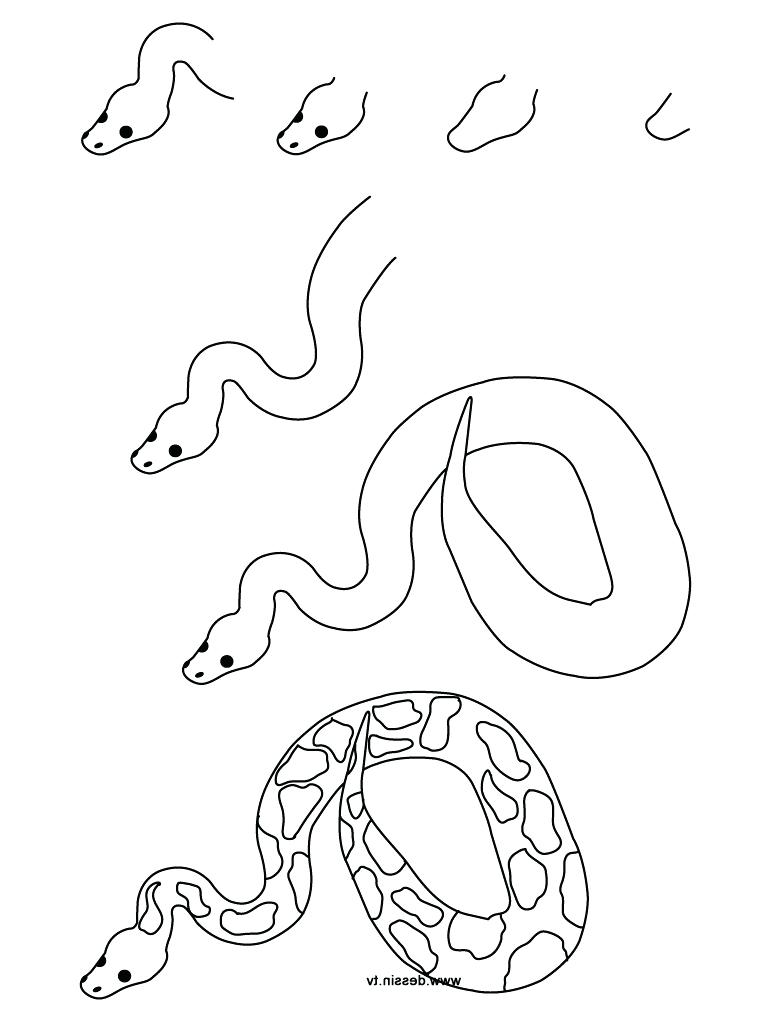 768x1024 Printable Printable Rainforest Animals Snake Easy To Draw Jungle