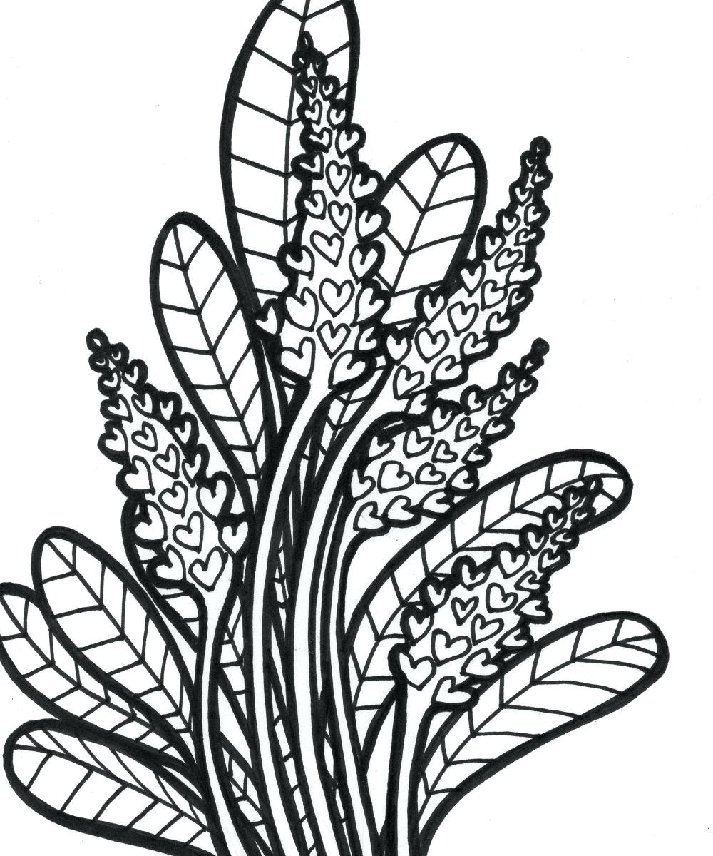 1000x1200 Coloring Coloring Pages Plants Drawn Jungle Pencil And