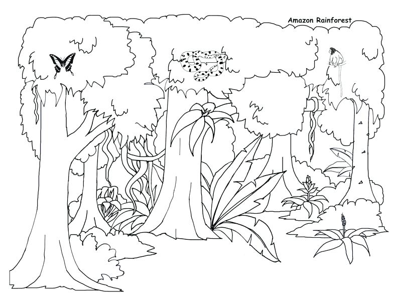 793x612 Jungle Coloring Pages And Awesome Jungle Coloring Pages Awesome