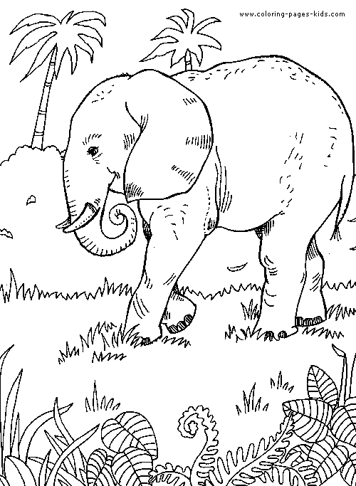 500x683 Coloring Pages Miss Rumphius Embroidery, Adult