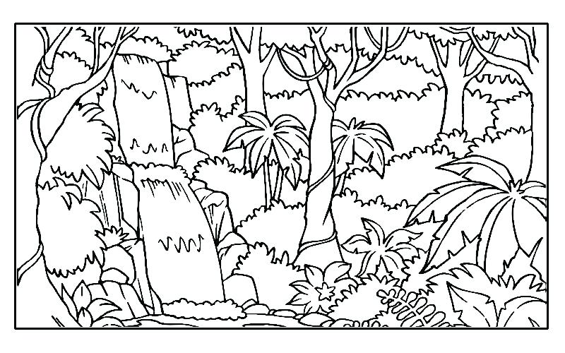 800x500 Jungle Printable Coloring Pages Also Drawing Wild Jungle Animals