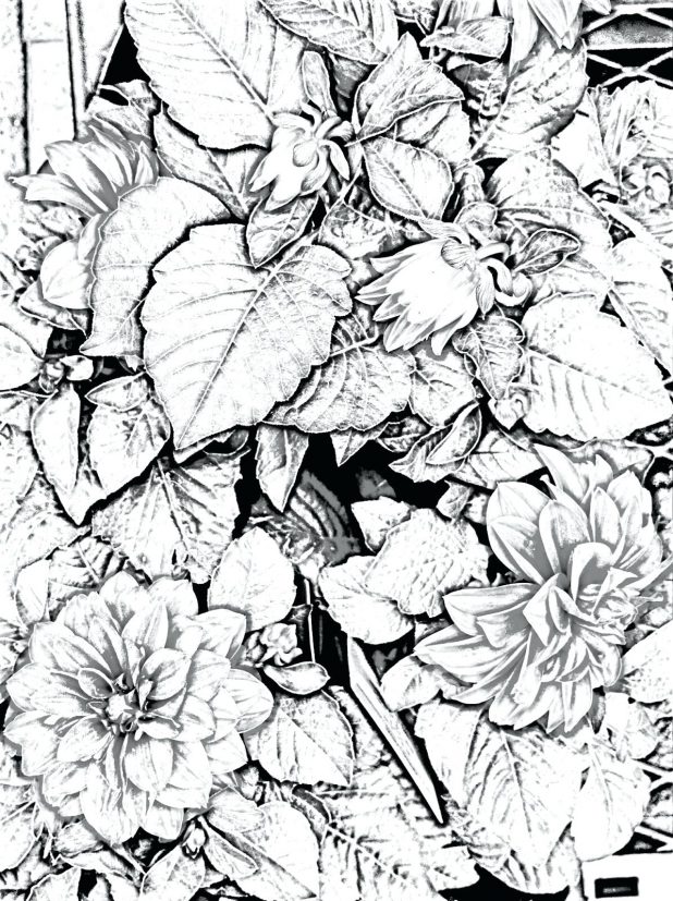 618x827 Nature Coloring Pages Jungle Animal Scene Christmas Scenery Winter