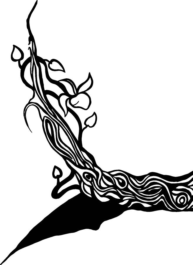 657x900 Tree Vines Drawing By Tu Ly