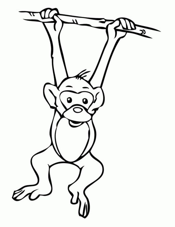 564x729 Coloring Pages Monkeys Trees