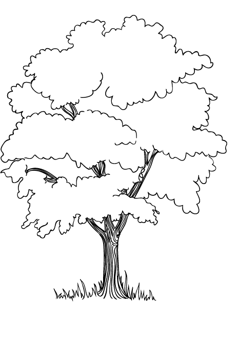 464x671 Drawn Plant Jungle Tree