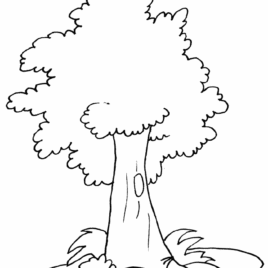 Jungle Trees Drawing at GetDrawings | Free download