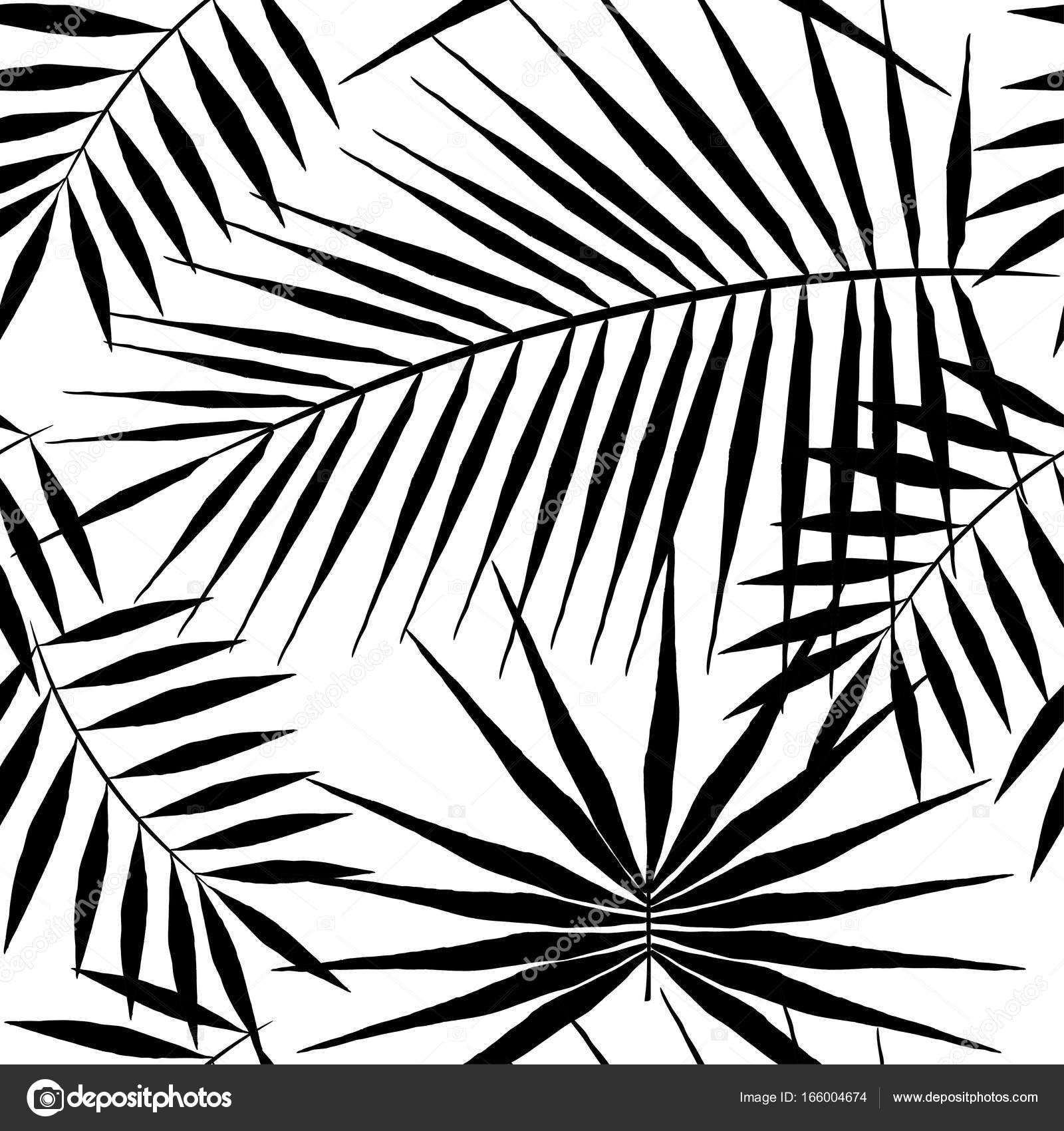 1600x1700 Seamless Pattern Of Exotic Palm Trees. Black Leaves On White
