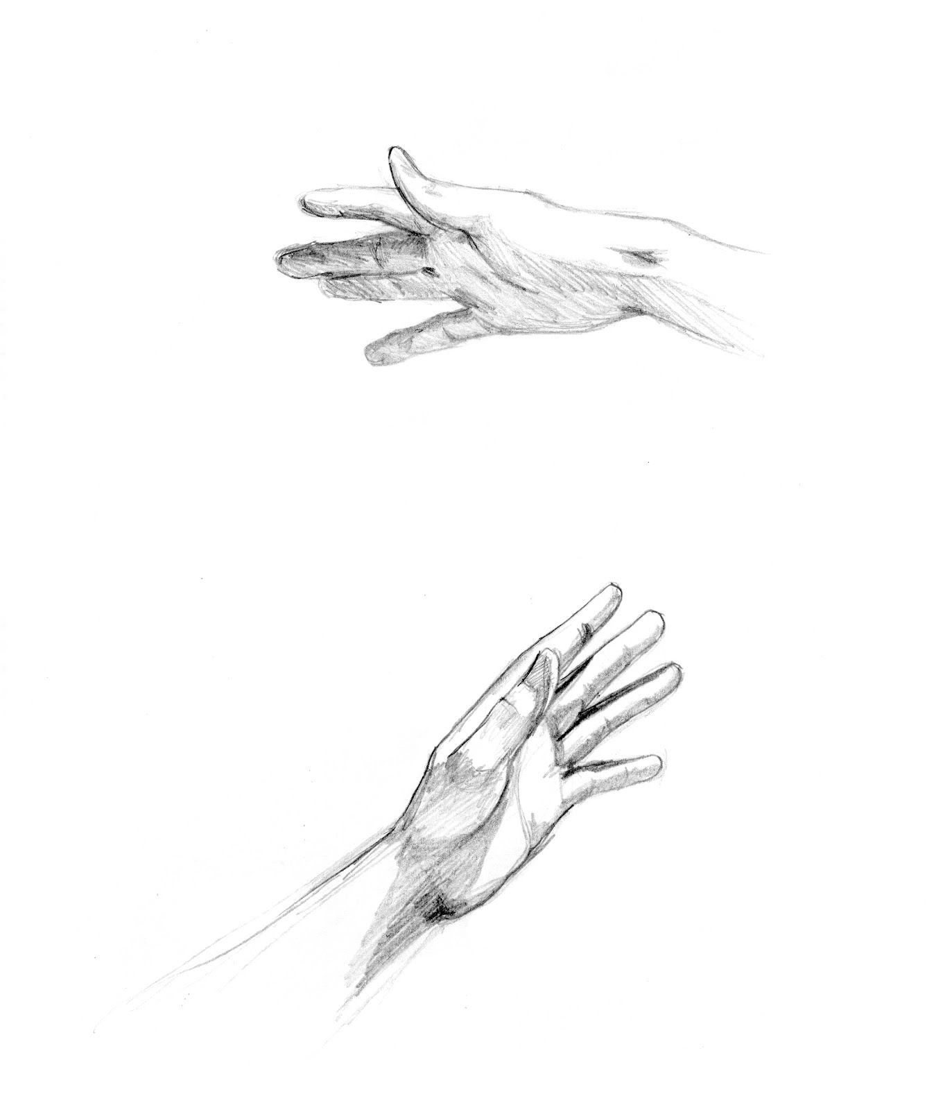 1350x1600 Sofia Kaba Ferreiro