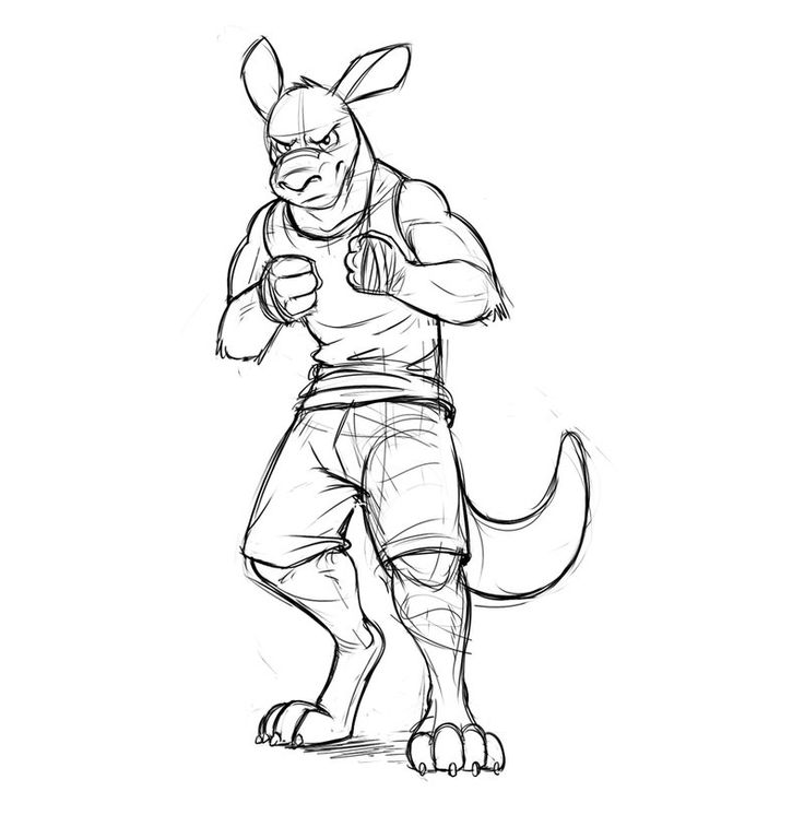 736x746 Drawn Kangaroo Anthro