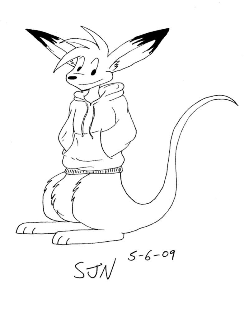 Kangaroo Cartoon Drawing